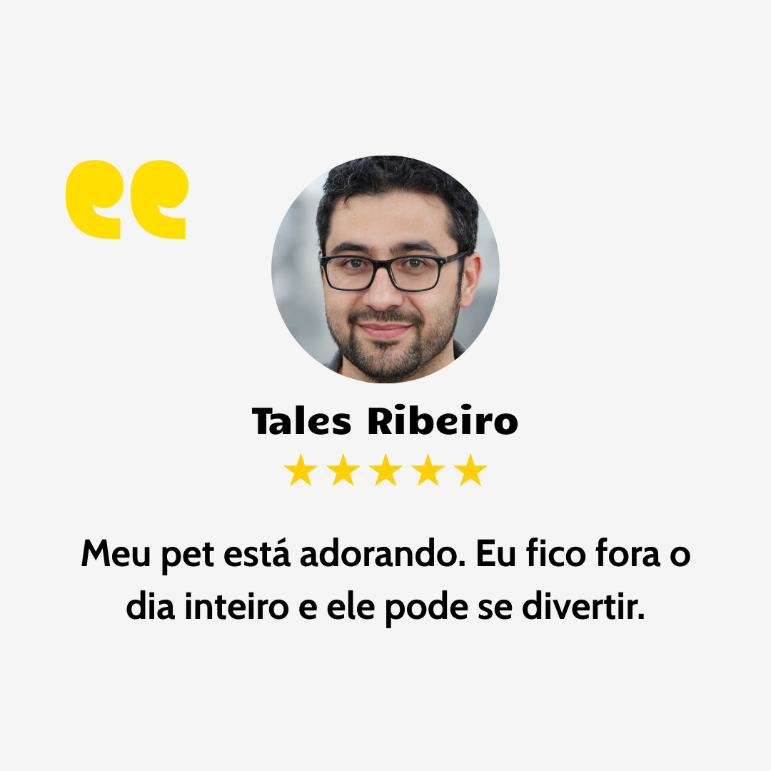 relato pet 2
